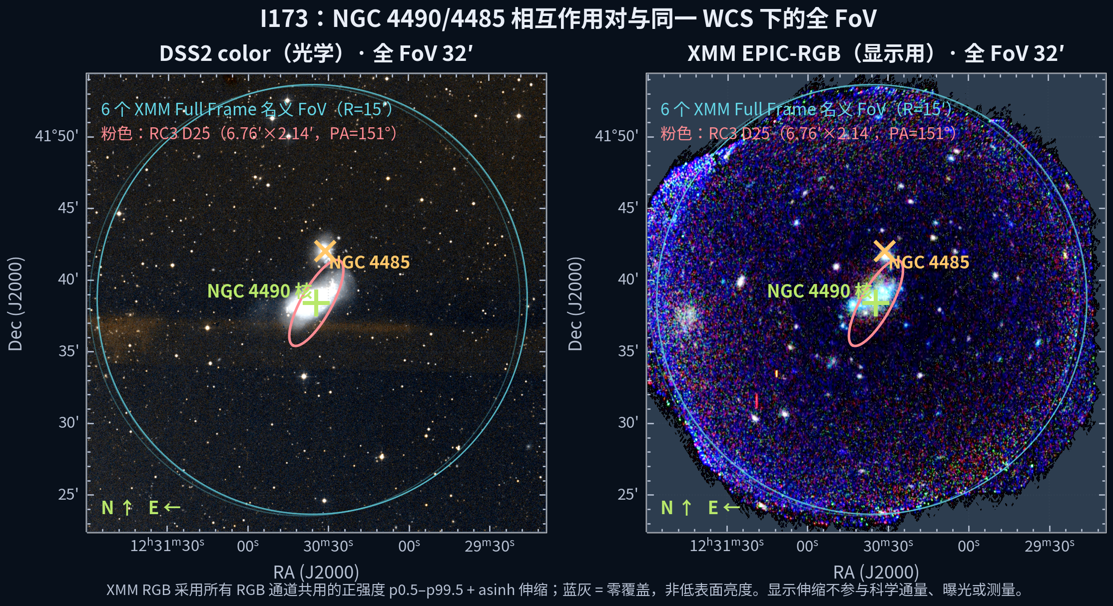 NGC 4490/4485 的 DSS2 光学和 XMM EPIC-RGB 全视场图；标出 D25、六个既有 XMM 名义 FoV、NGC 4490 核与 NGC 4485。